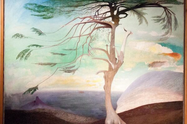 Mi volt Csontváry Kosztka Tivadar polgári foglalkozása?