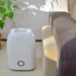 Hogyan válasszunk páramentesítőt?