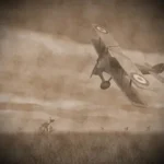 Mikor jelentek meg az első repülőgépek?