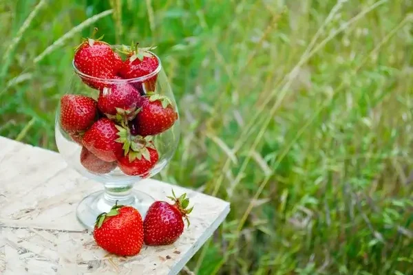 Mennyi eper kell 1 liter pálinkához?