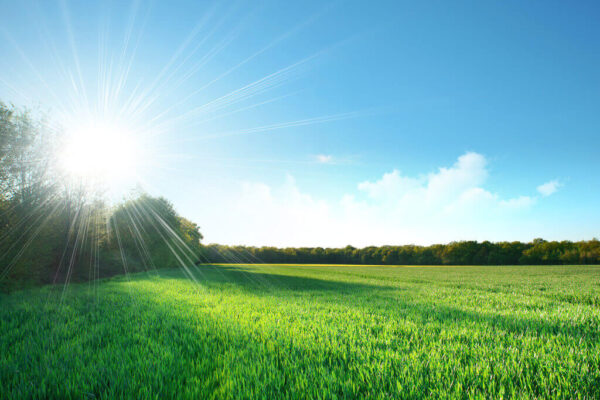 Mikor kel fel a nap?