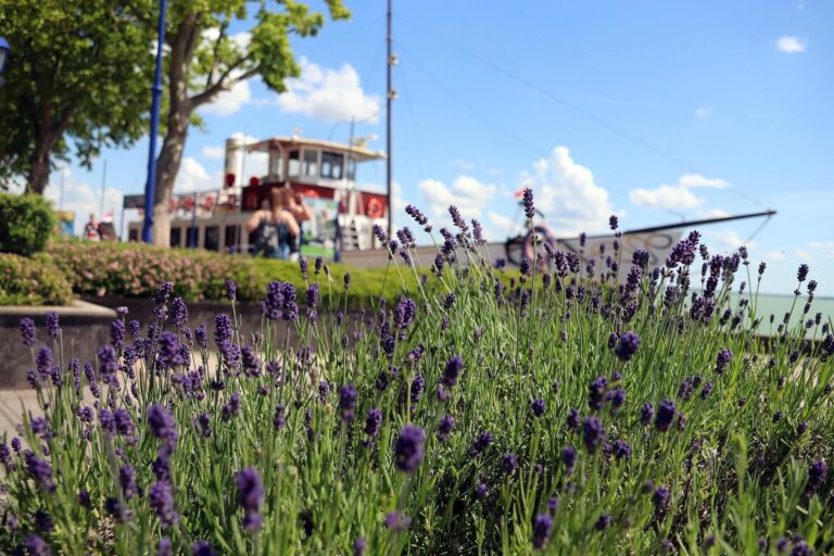 Balaton-felvidék: Motoros paradicsom a szőlőhegyek és várak között